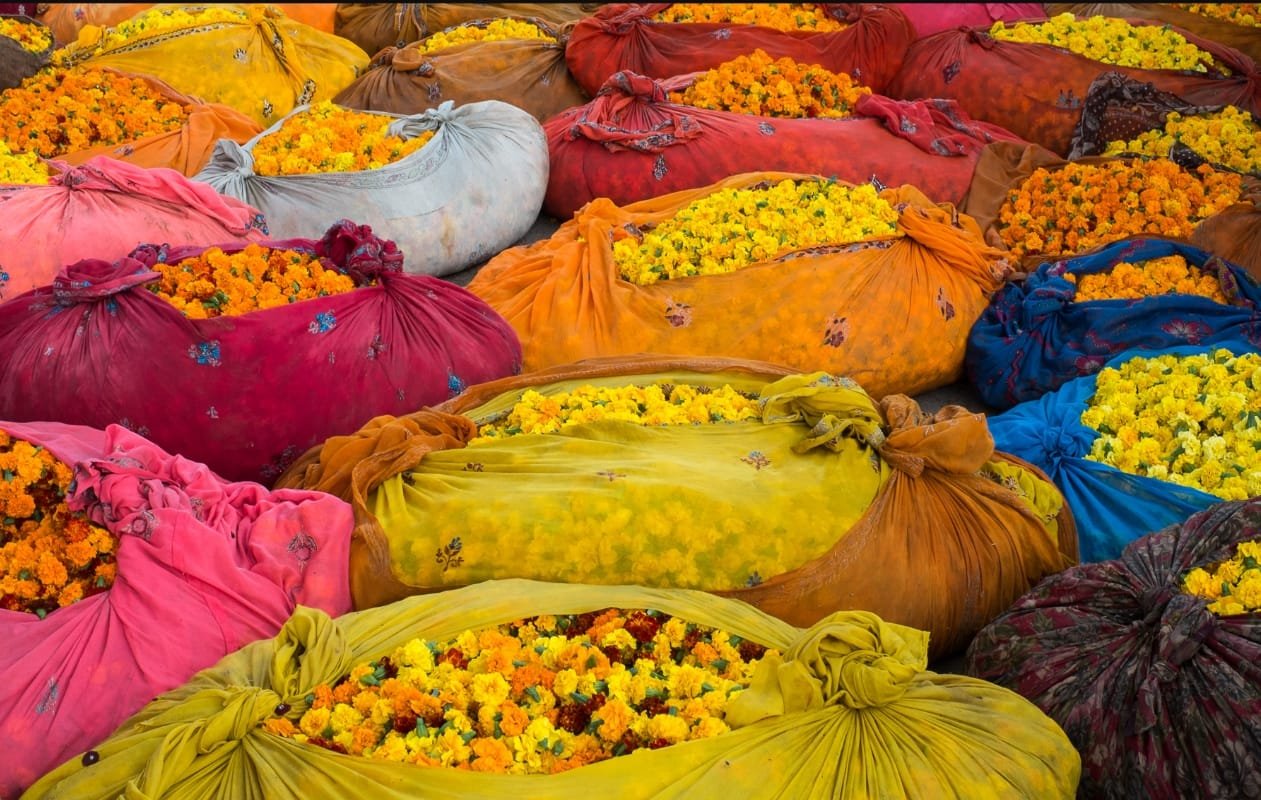 Jaipur experiences and local expert moments with CJ by Ravi