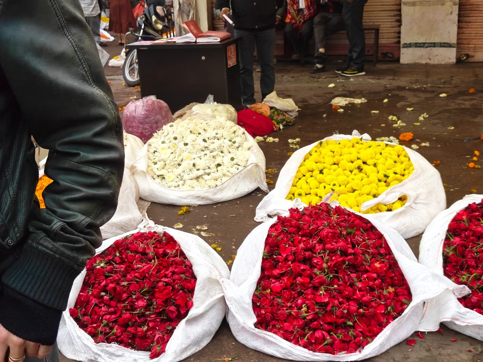 Jaipur shopping concierge and local market visit with CJ by Ravi